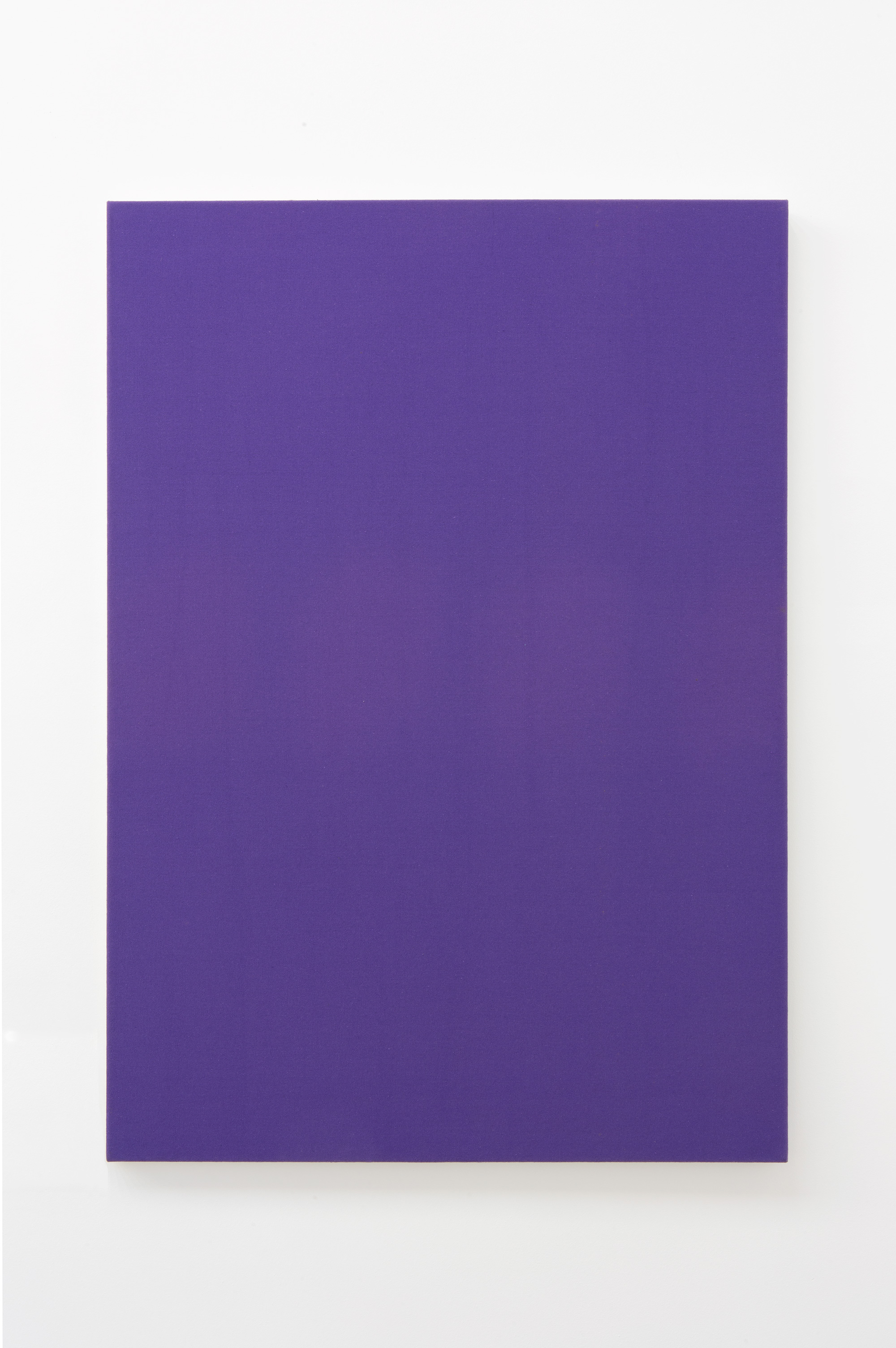 A.D.S. Donaldson, “Untitled”, 2010, gesso on canvas, 1200 × 840 mm