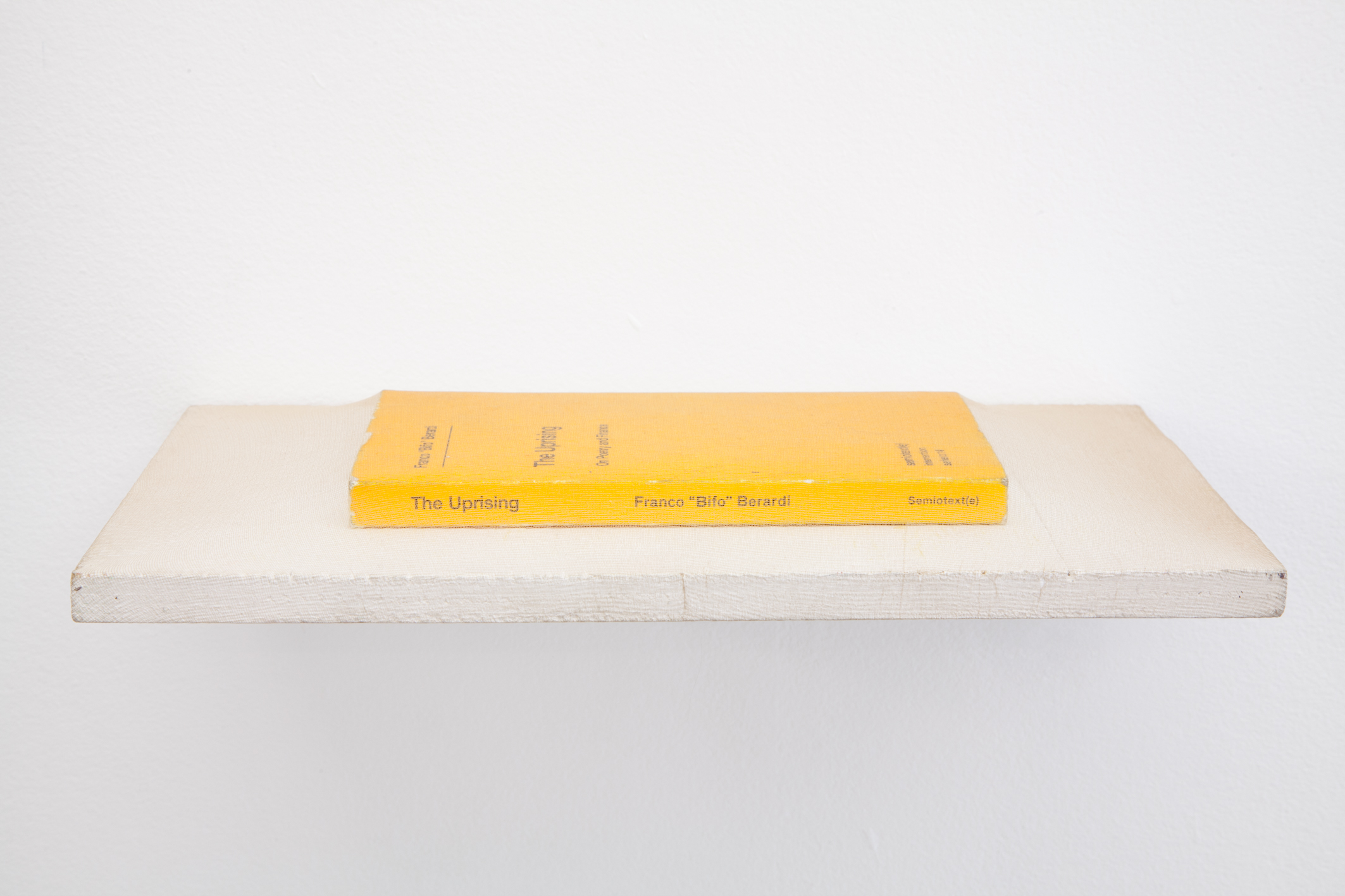 Hana Earles, “Ultimate Swayed”, 2015, book, pantyhose, wood, brackets, 310 × 200 × 120 mm