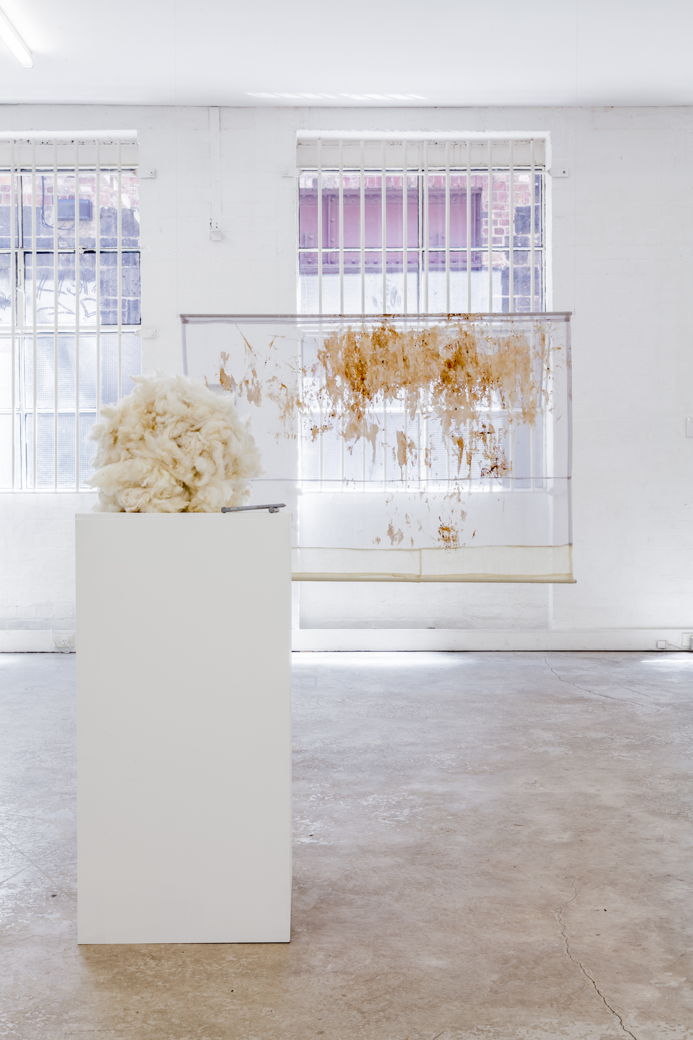 Minerva Offsite, “Language Face″, installation view, 33 Guildford Lane, Melbourne, 31 January – 28 February, 2015