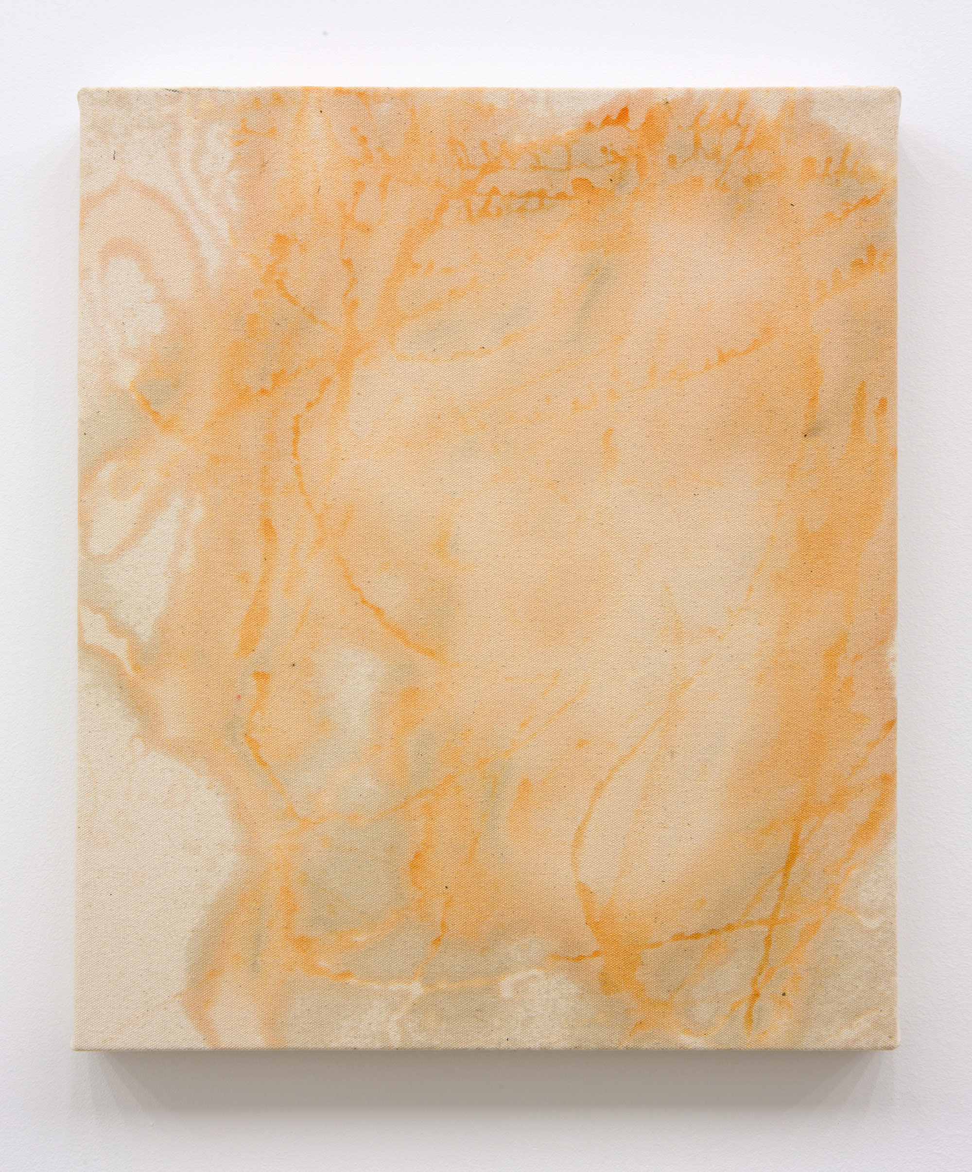 Anthea Behm, “[name deleted]”, 2015, Wildfire 18% Pepper Spray Stream & 18% Pepper Gel on canvas, 51 × 43 cm