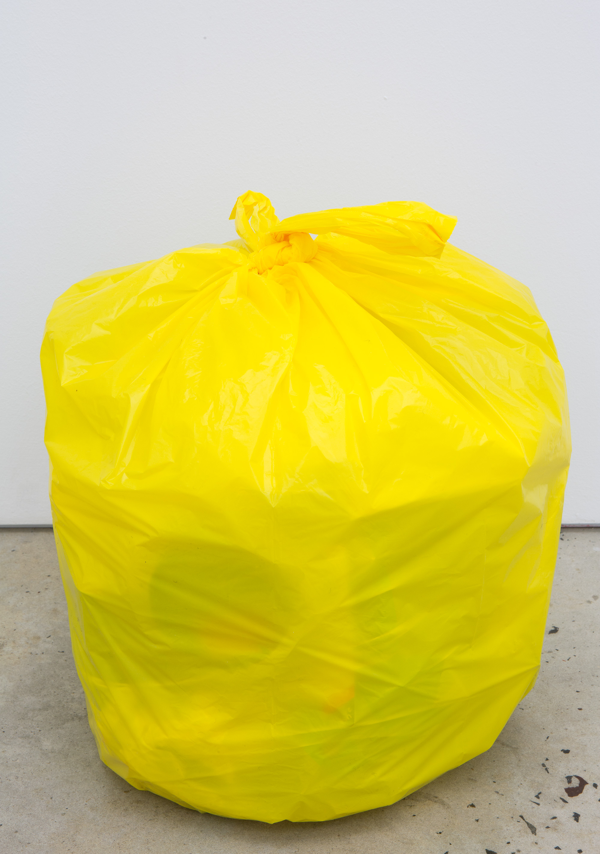 Puppies Puppies, “Trash (Minerva)”, 2015, garbage bags, paper waste, dimensions variable