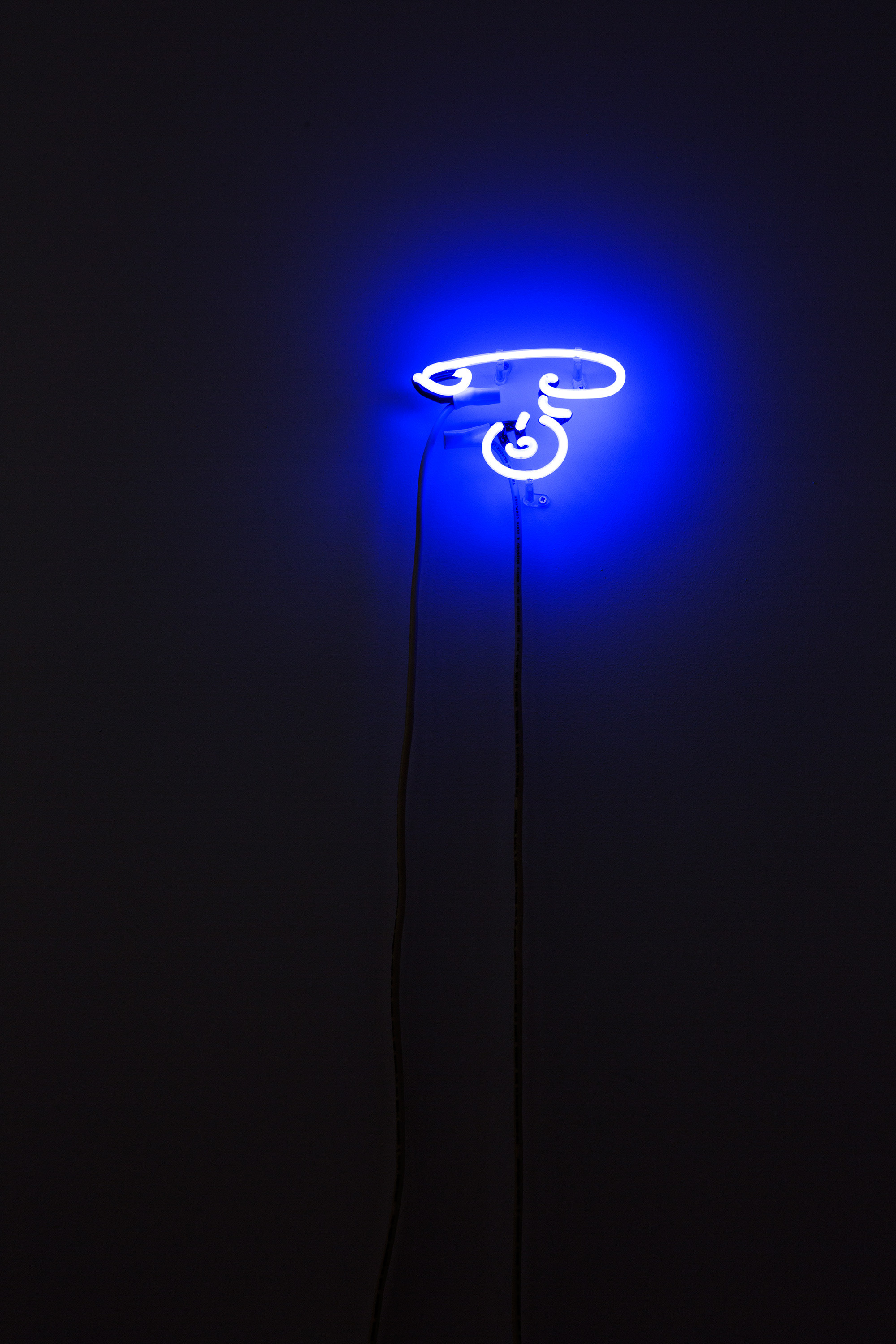 "AUM", 2016, neon, electric cables, fittings and transformer, 24 × 20 cm, edition 1/3