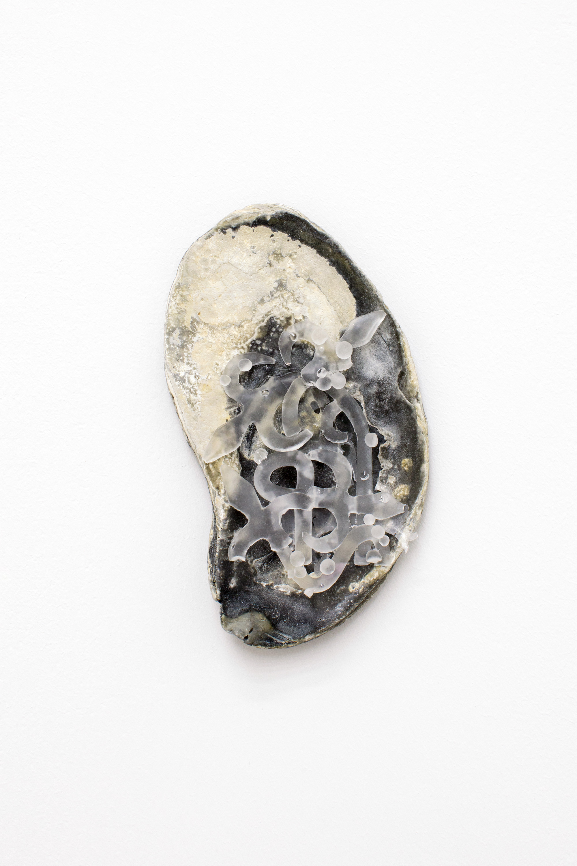 “Ear with Tinnitus (ii)”, 2016, polyurethane resin, seashell, rare earth magnet, 6.5 × 10.5 cm