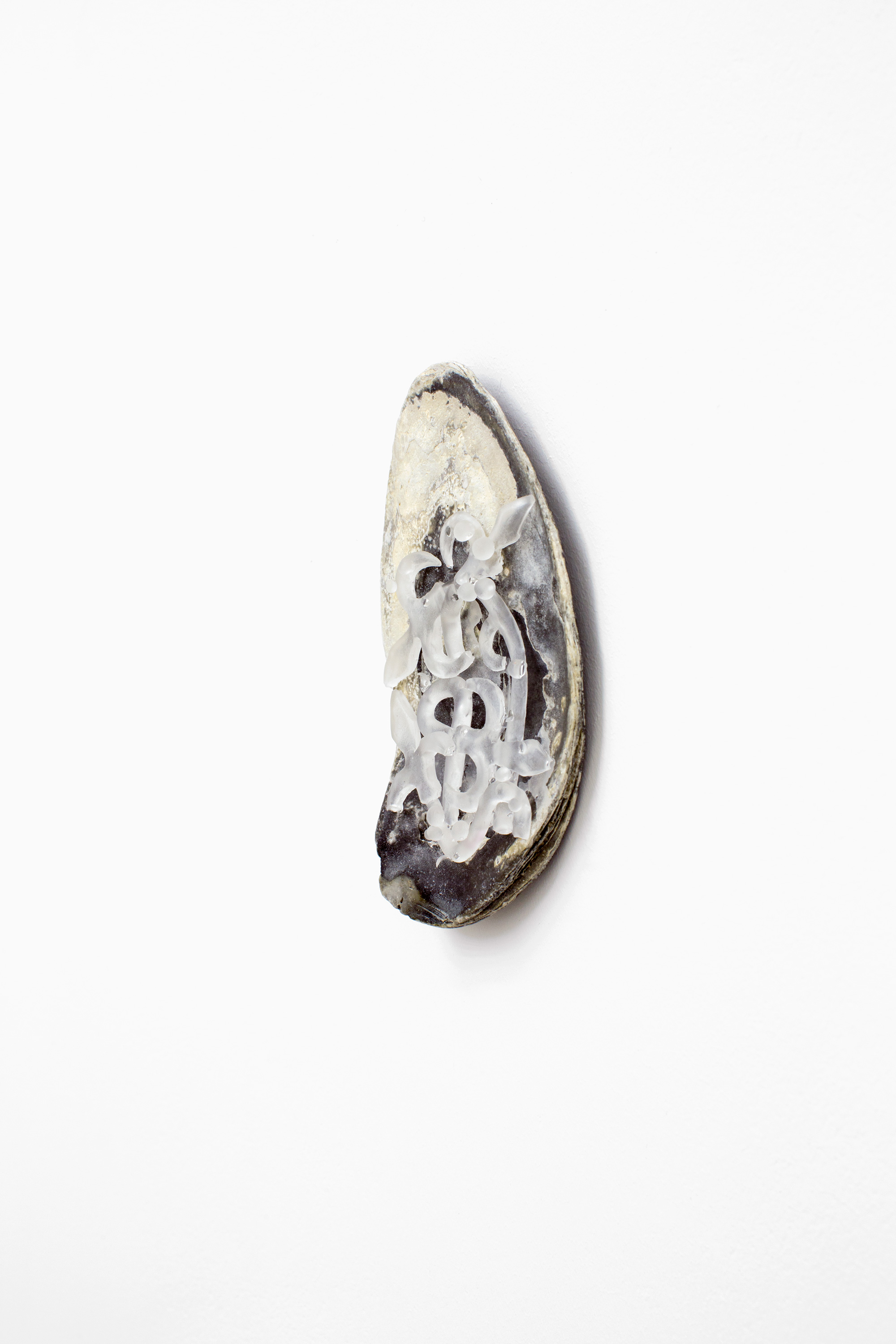 “Ear with Tinnitus (ii)”, 2016, polyurethane resin, seashell, rare earth magnet, 6.5 × 10.5 cm