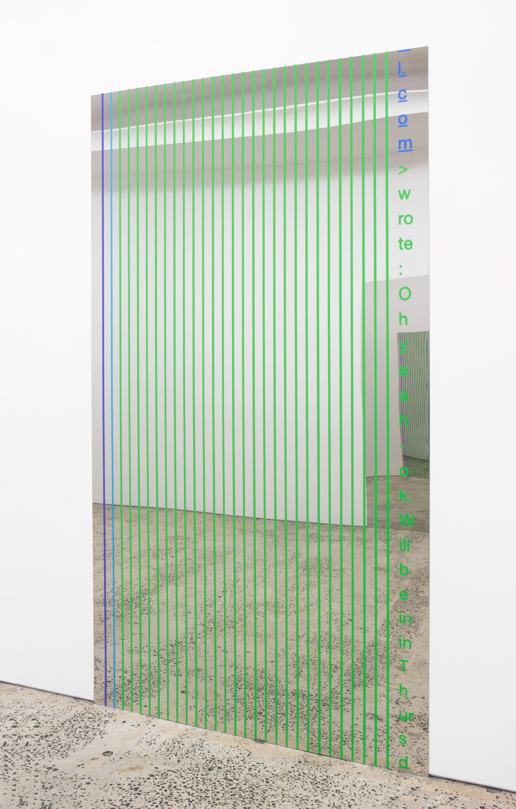 “Script #2”, 2015, screen print on polished stainless steel 2220 x 1250 mm