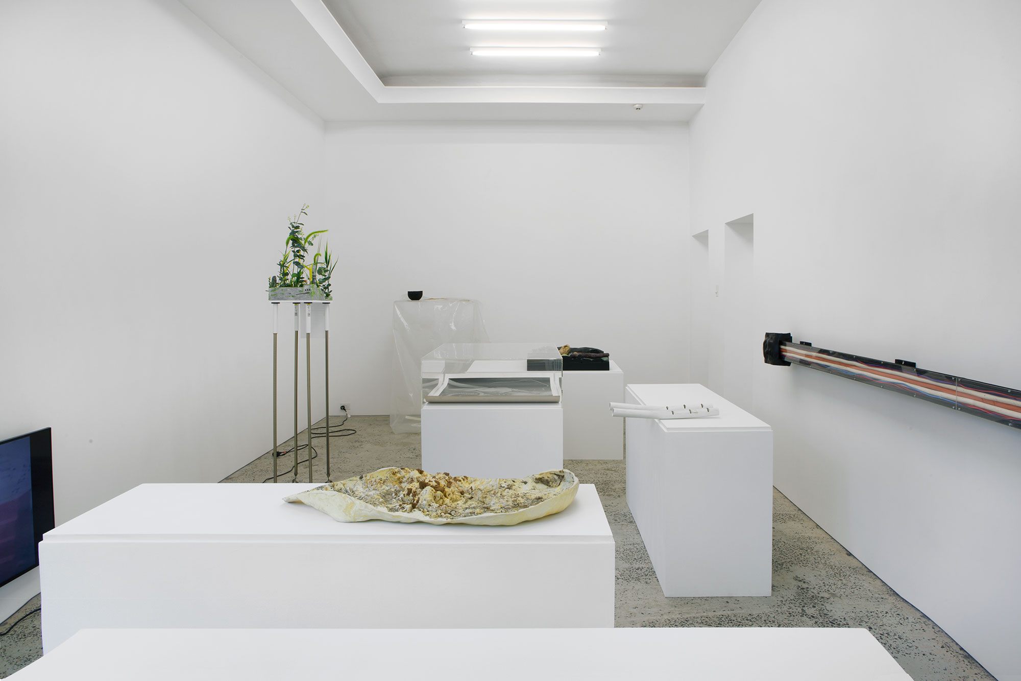 “Habitat” (with World Food Books) curated by Joshua Petherick & Matt Hinkley, installation view, Minerva, Sydney,15 November – 20 December, 2014