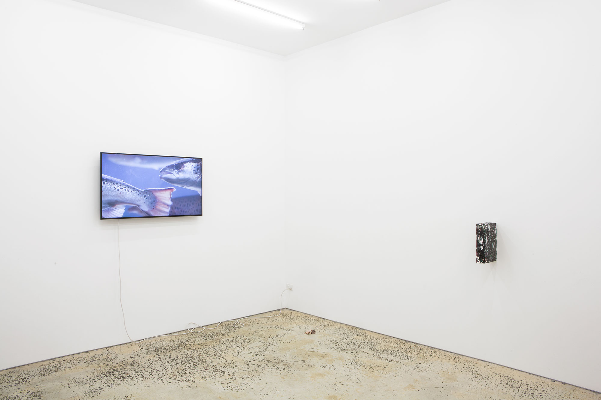 “Have It Your Way”, installation view, Minerva, Sydney, 9 May – 20 June, 2015