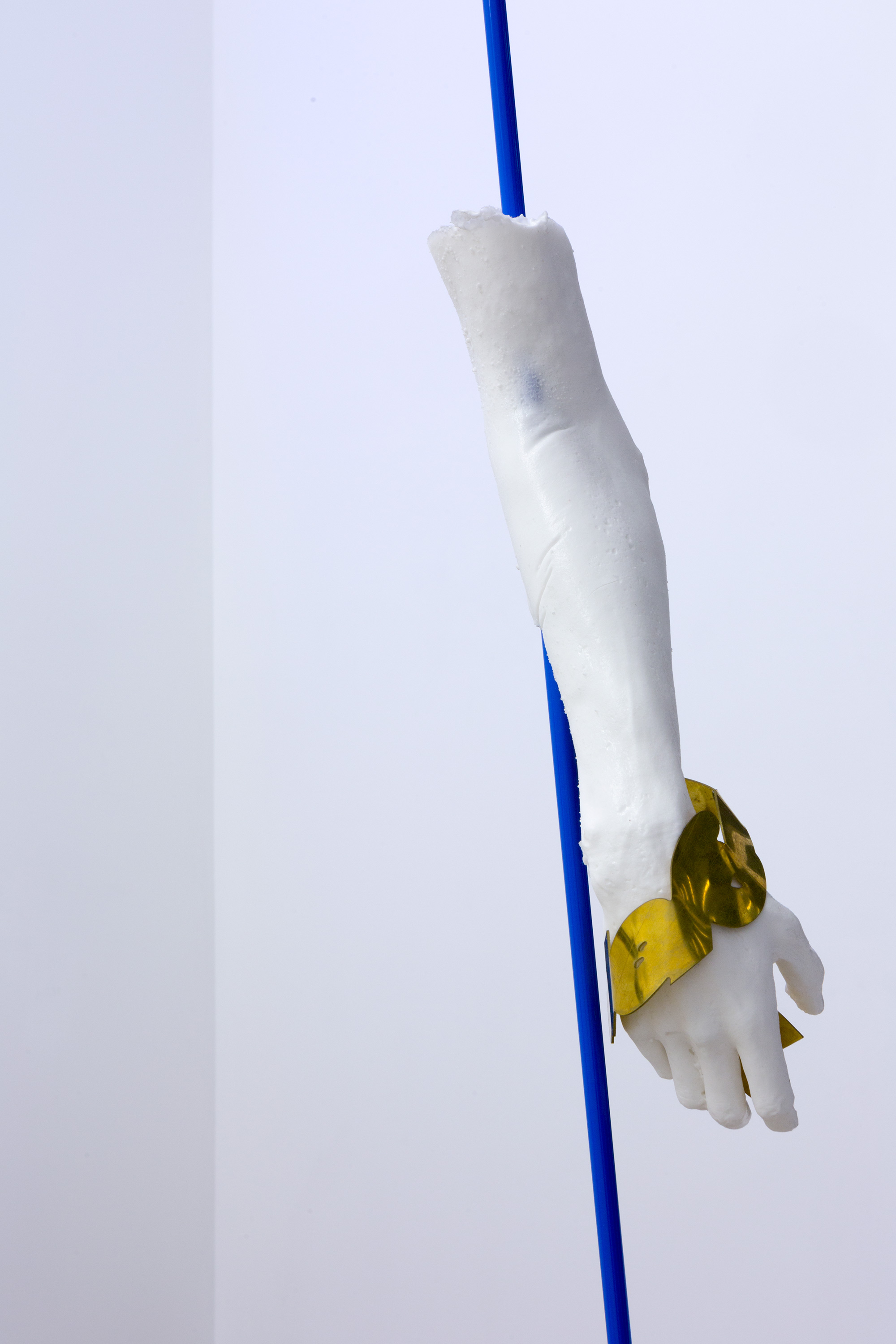 "Sculpture for corporate HQ - iFucked human arm", 2016, brass, powder coated steel, Gel 10 silicone, pigment, dimensions variable