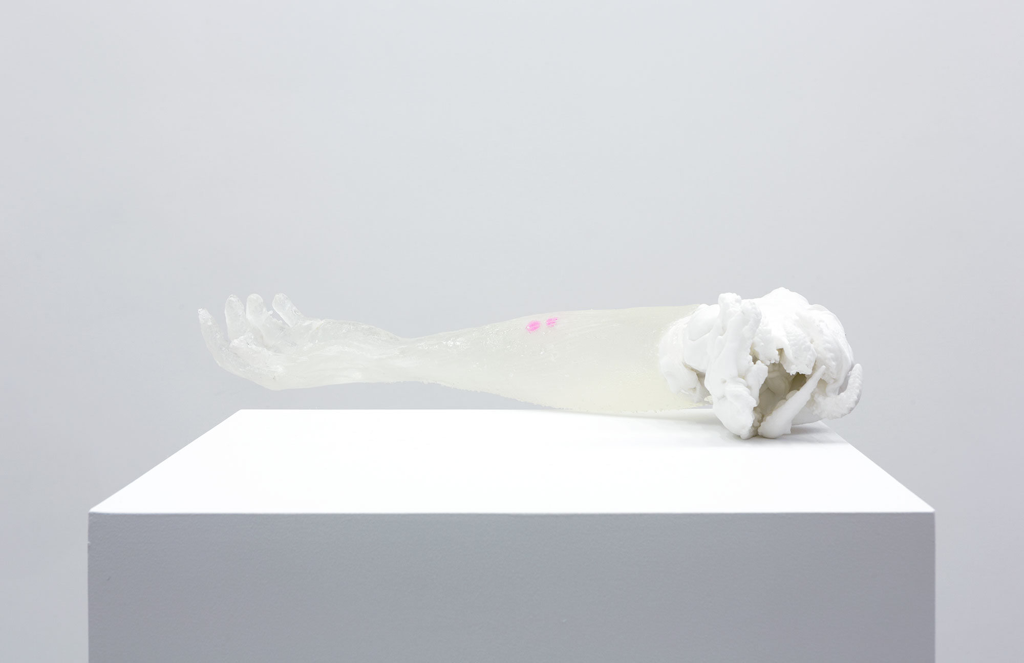 "Everything we’ve worked for - www.youtube.com/watch?v=X85jy2w97-A", 2016, Gel 10 silicone, alginate, water, epoxy resin, pigment, dimensions variable